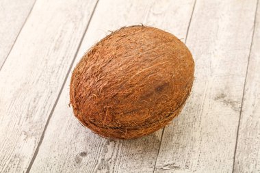 Arka planda tropik kahverengi hindistan cevizi izole edildi