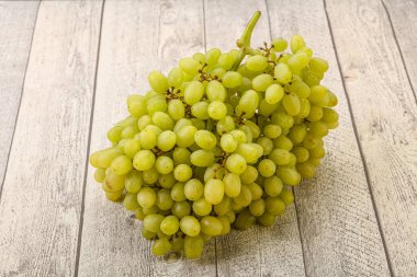 Arka planda tatlı yeşil üzüm dalı