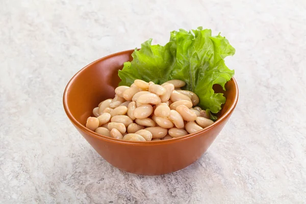 Feijão Enlatado Branco Para Cozinha Vegan Tigela — Fotografia de Stock