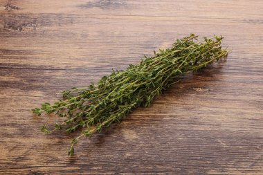 Taze aromalı yeşil bitki kekik çeşnisi yalıtılmış.