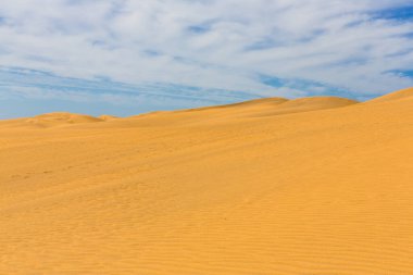 Maspalomas Duna - Kanarya adası Büyük Kanarya Çölü