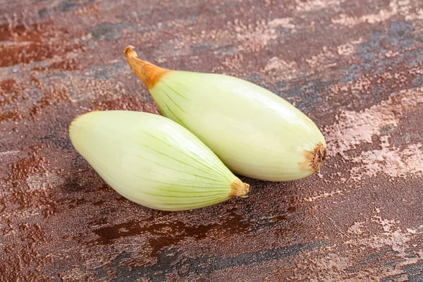 Cebolla Chalota Madura Sabrosa Para Cocinar — Foto de Stock