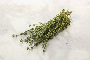 Taze aromalı yeşil bitki kekik çeşnisi yalıtılmış.