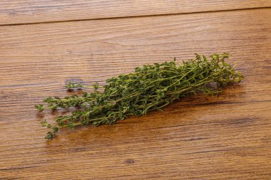 Taze aromalı yeşil bitki kekik çeşnisi yalıtılmış.