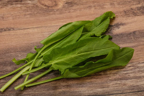 Aroma Fresh Green Sorrel Herb Heap — Stock Photo, Image