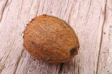 Arka planda tropik kahverengi hindistan cevizi izole edildi