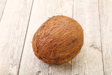 Arka planda tropik kahverengi hindistan cevizi izole edildi