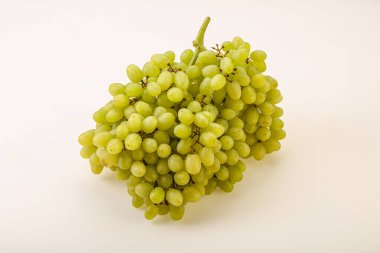 Arka planda tatlı yeşil üzüm dalı