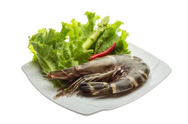 Langostino tigre —  Fotos de Stock