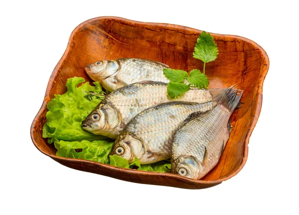 Pesce crociato — Foto Stock