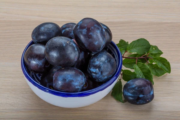 Frische Pflaumen — Stockfoto