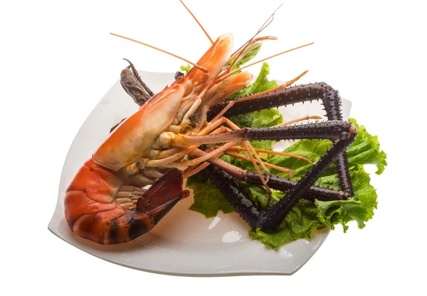 Giant Freshwater Prawn — Stock Photo, Image