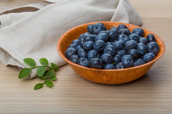 Blueberry — Stock Photo, Image