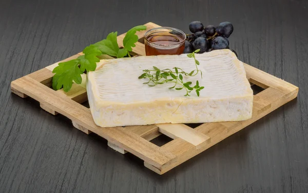 Brie-Käse — Stockfoto