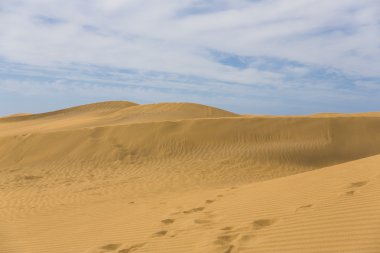 Maspalomas duna - Kanarya içinde çöl