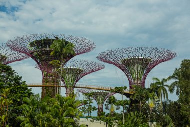 Singapur - 12 Mayıs: mar 12, 2014 yılında singap körfezde bahçelerle