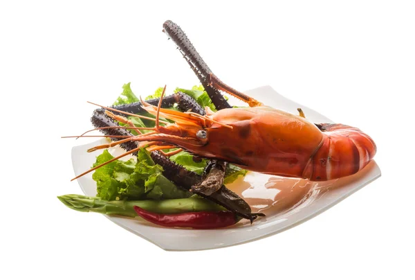 Giant Freshwater Prawn — Stock Photo, Image