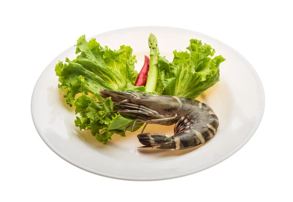 Tiger prawn — Stock Photo, Image