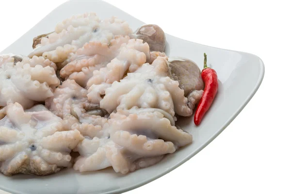 Polpo crudo — Foto Stock