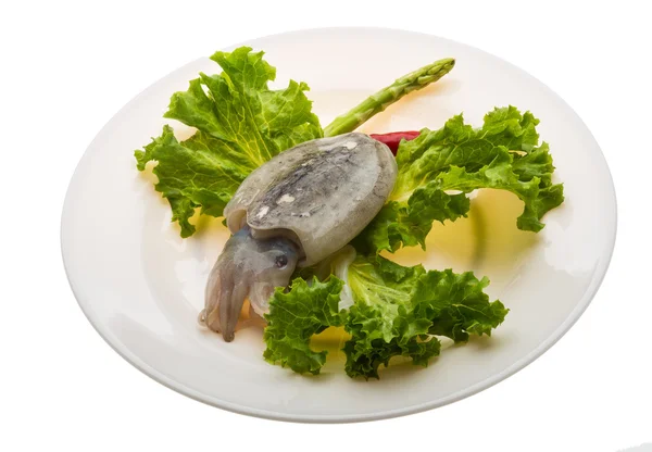 Rå bläckfisk — Stockfoto