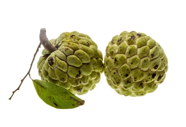 Noni fruits — Photo