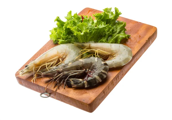 Langostino tigre — Foto de Stock