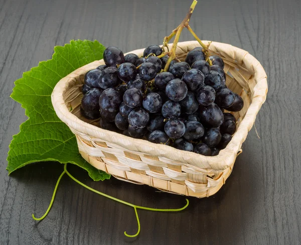 Grape — Stock Photo, Image