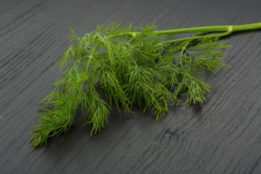 dereotu herb