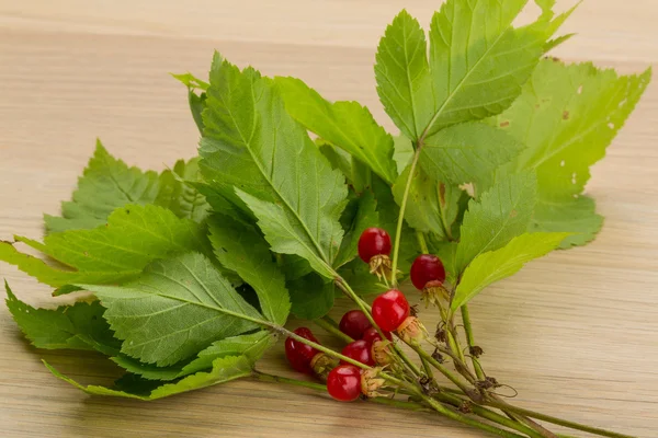 Piedra Bramble — Foto de Stock