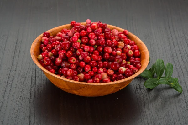 Cowberry in the bow — Stock Photo, Image