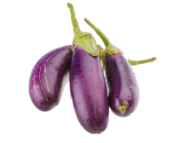 Melanzane viola — Foto Stock