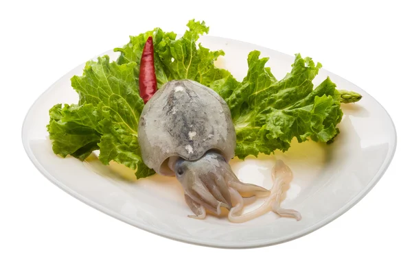 Rohe Tintenfische — Stockfoto