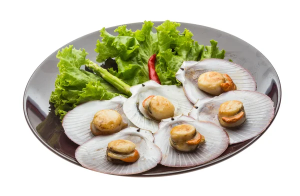 Grilled scallops — Stock Photo, Image