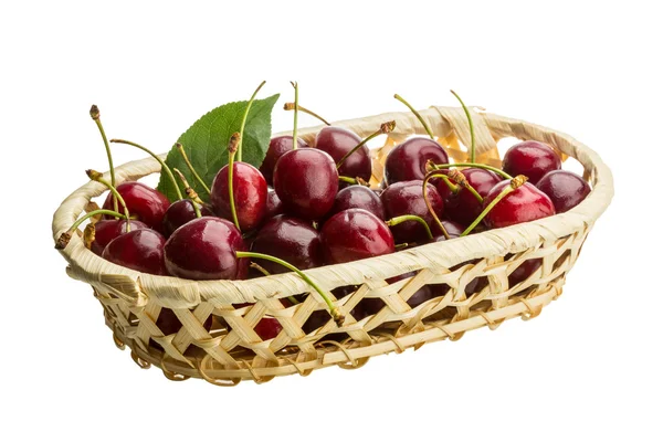 Třešeň ptačí - cherry — Stock fotografie