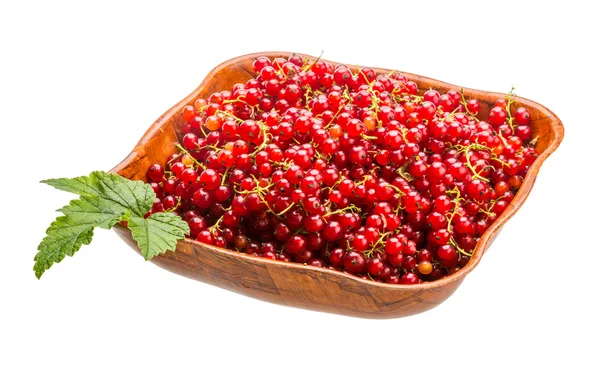 Red currant — Stock Photo, Image