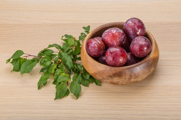 Frische Pflaumen — Stockfoto