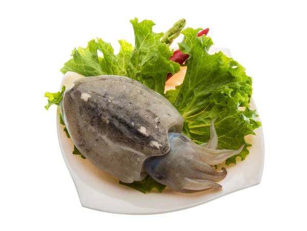 Rohe Tintenfische — Stockfoto