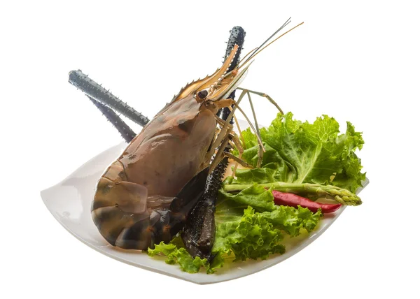 Freshwater prawn — Stock Photo, Image