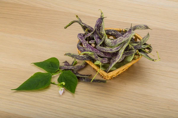 Bohnen mit Blatt — Stockfoto