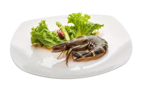 Tiger prawn — Stock Photo, Image