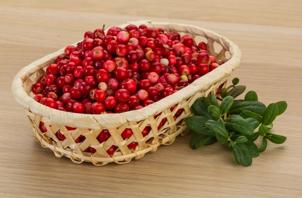 Fresh Cowberry — Stock Photo, Image