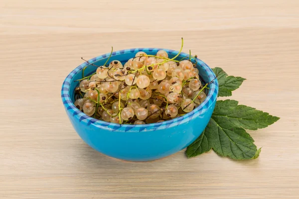 White currant — Stock Photo, Image