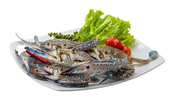 Raw blue crab — Stock Photo, Image