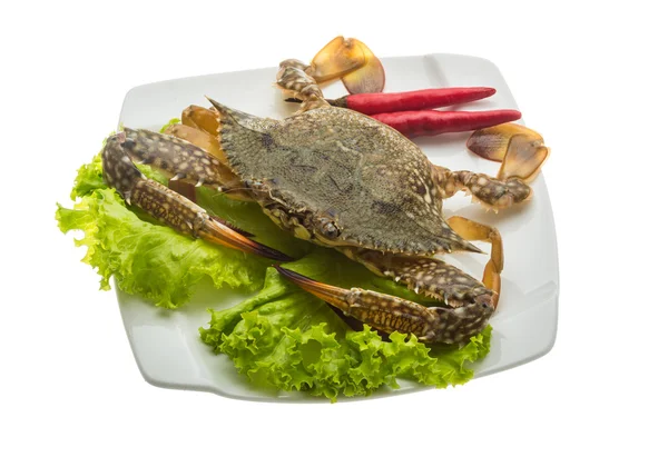Crabe cru — Photo
