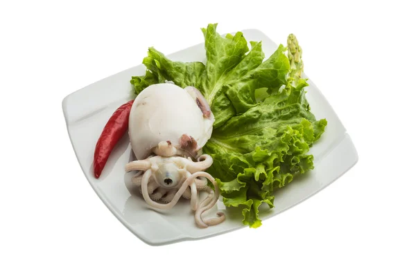 Boiled cuttlefish — Stock Photo, Image