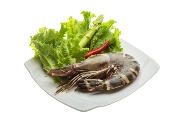 Langostino tigre —  Fotos de Stock