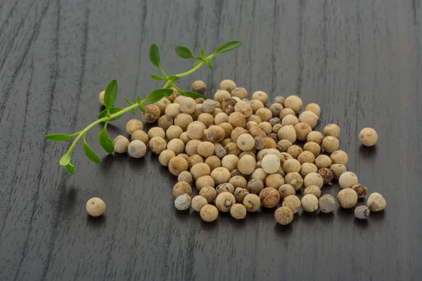 WHite pepper corn — Stock Photo, Image