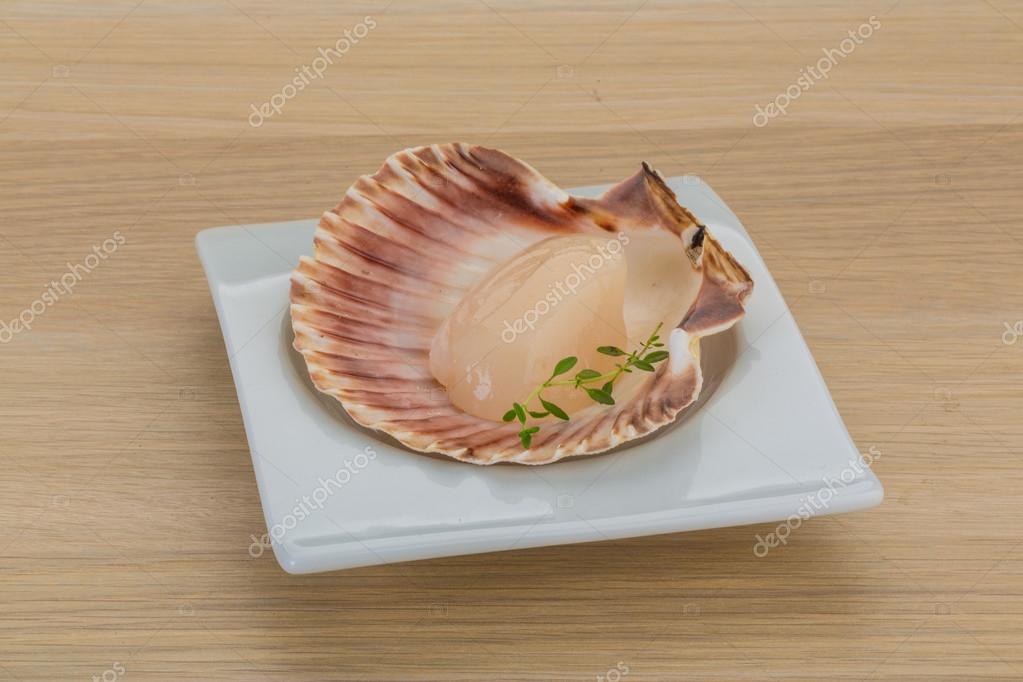 Raw scallops Stock Photo by ©AndreySt 52790097