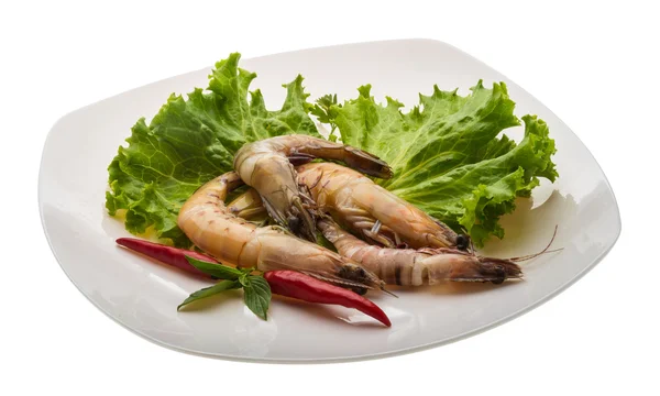 Langostino — Foto de Stock