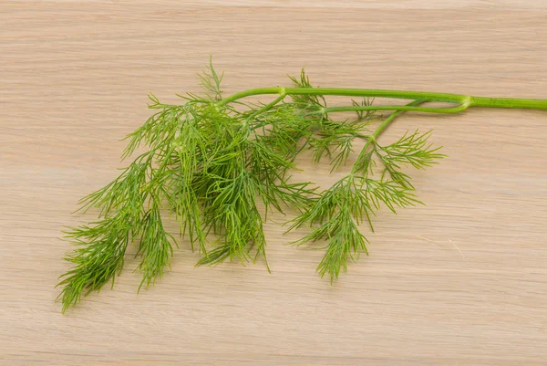 Dill. — Stok fotoğraf